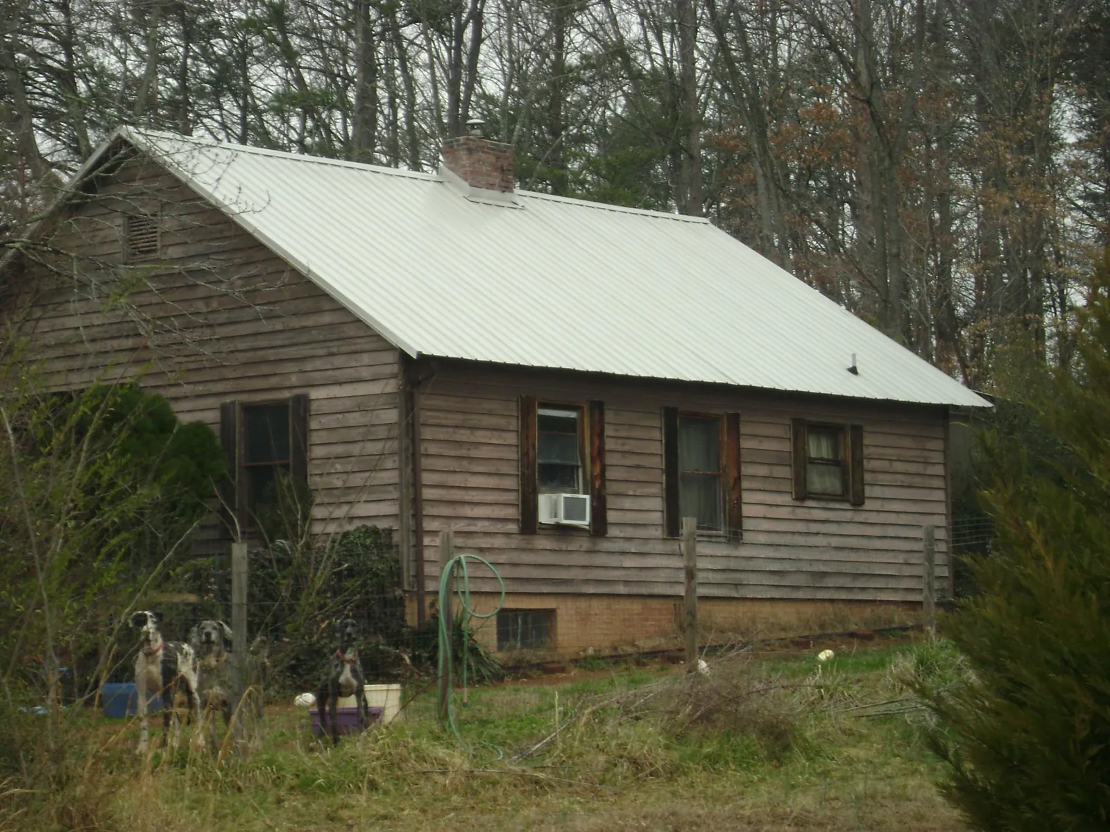 White metal roof on an old wood sided farmhouse, from a Asphalt Shingle Roof Repair job in Houlton